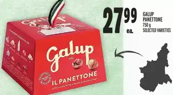 Metro Galup panettone offer