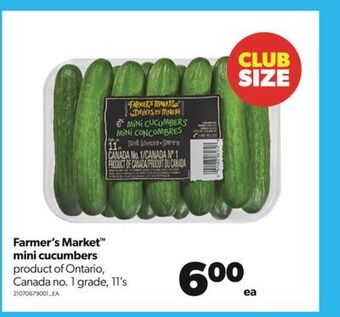 Real Canadian Superstore Farmer's market™ mini cucumbers, 11's offer