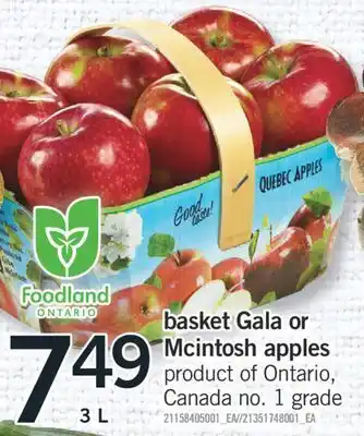 Fortinos Basket gala or mcintosh apples, 3 l offer