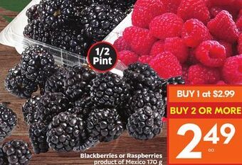 Foodland Blackberries or raspberries offer