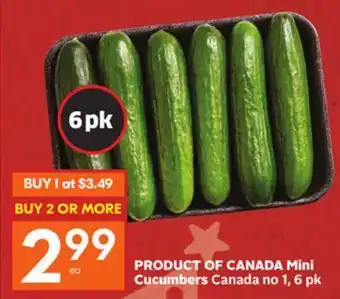 Foodland Mini cucumbers product of canada canada no 1, 6 pk offer