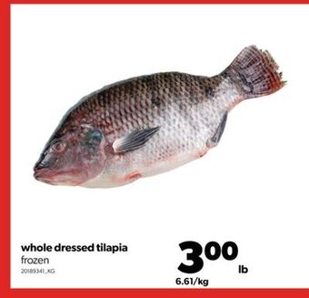 Real Canadian Superstore Whole dressed tilapia offer