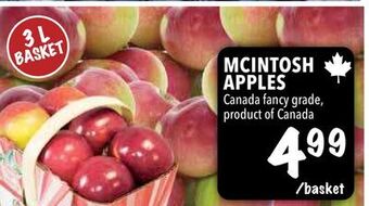 Farm Boy Mcintosh apples offer