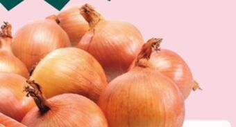 Giant Tiger 2 lb yellow onions offer