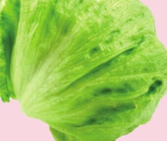 Giant Tiger Iceberg lettuce offer