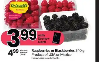FreshCo Raspberries or blackberries 340 g product of usa or mexico offer