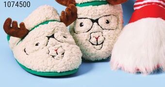 Giant Tiger Men's slippers offer