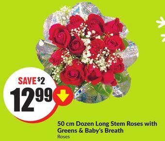 FreshCo 50 cm dozen long stem roses with greens & baby's breath offer