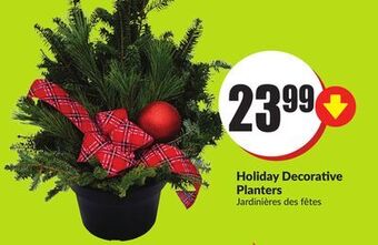 FreshCo Holiday decorative planters offer