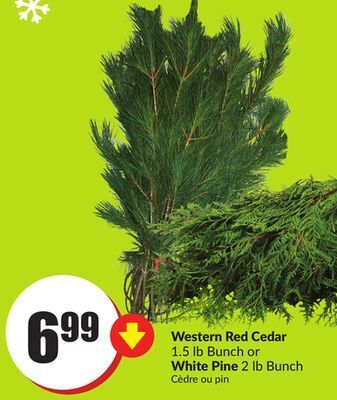 FreshCo Western red cedar 1.5 lb bunch or white pine 2 lb bunch offer