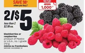 Valu-mart Mûres ou framboises, 170g offer