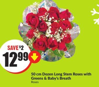 Chalo FreshCo 50 cm dozen long stem roses with greens & baby's breath roses offer