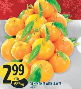 Marché Adonis Clementines with leaves offer