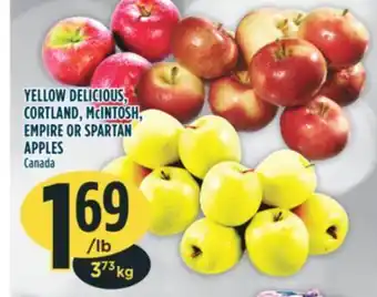 Marché Adonis Yellow delicious, cortland, mcintosh, empire or spartan apples offer
