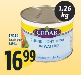 Marché Adonis Cedar tuna in water offer
