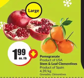 FreshCo Pomegranate | stem & leaf clementines offer