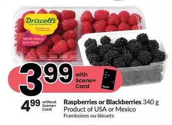 FreshCo Raspberries or blackberries offer