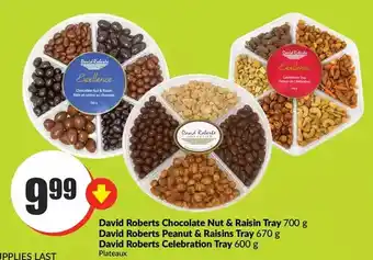 FreshCo David roberts chocolate nut & raisin tray | david roberts peanut & raisins tray | david roberts celebration tray offer