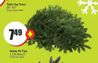 FreshCo Noble fir tips offer