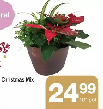 Highland Farms Christmas mix offer