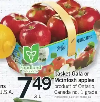 Fortinos Basket gala or mcintosh apples offer