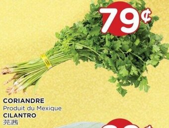 Kim Phat Cilantro offer