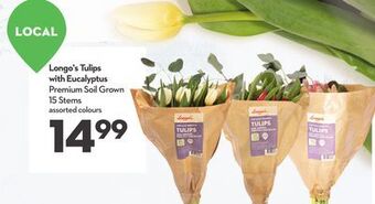 Longo's Longo's tulips offer