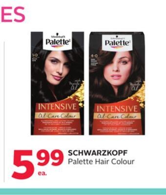 Rexall Schwarzkopf palette hair colour offer