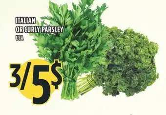Marché Adonis Italian or curly parsley or curly parsley offer