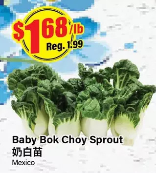 Btrust Supermarket Baby bok choy sprout offer