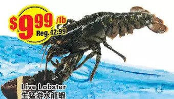 Btrust Supermarket Live lobster offer