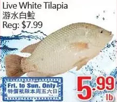 Hong Tai Supermarket Live white tilapia offer