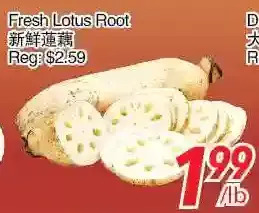 Foody World Fresh lotus root offer