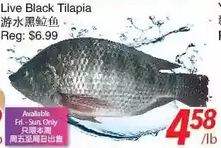 Foody World Live black tilapia offer