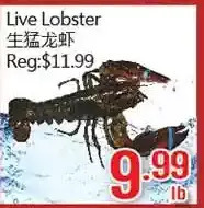 Hong Tai Supermarket Live lobster offer