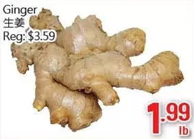 Ginger