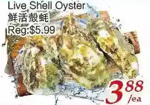 Tone Tai Supermarket Live shell oyster offer