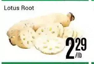 Nations Fresh Foods Lotus root offer