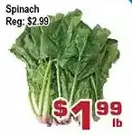 Top Food Supermarket Spinach offer