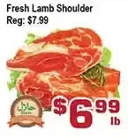 Top Food Supermarket Fresh lamb shoulder offer