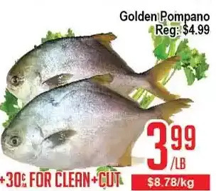 Golden pompano