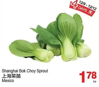 T&T Supermarket Shanghai bok choy sprout offer