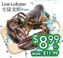 Ample Food Market Live lobster offer