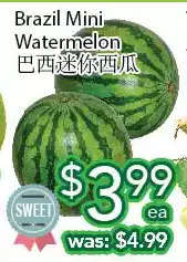 Ample Food Market Brazil mini watermelon offer