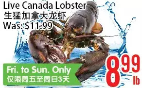 Bestco Food Mart Live canada lobster offer