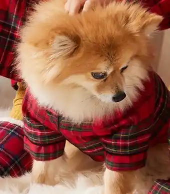 Bed Bath & Beyond Bee & willow™ holiday plaid family pajamas offer