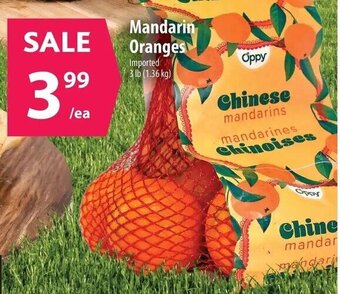 Co-op Mandarin Oranges offer