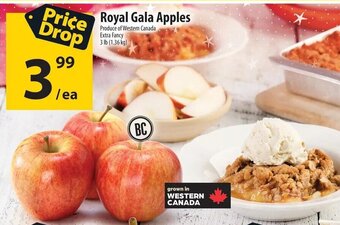 Co-op Royal Gala Apples offer