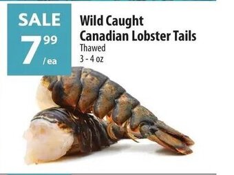 Co-op Wild Caught Canadian Lobster Tails offer