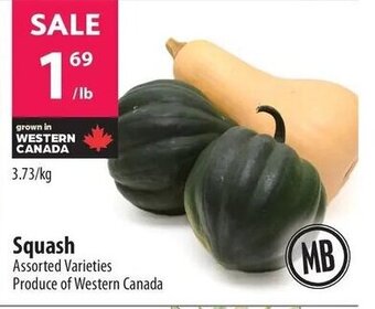 Co-op Squash offer